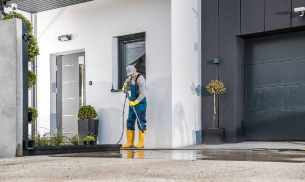 Best Roof Washing  in Mount Vernon, IA